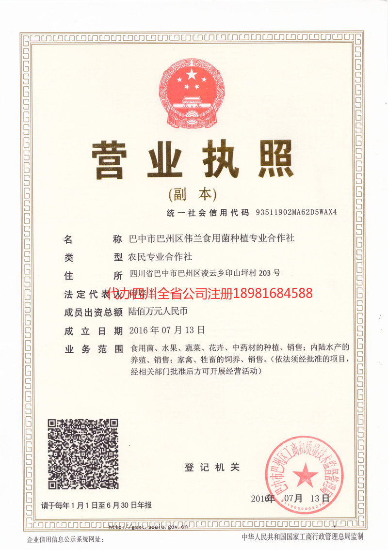 蛟河蛟河伟兰食用菌种植专业合作社